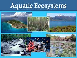 Aquatic Ecosystems | OMICS Publishing ...